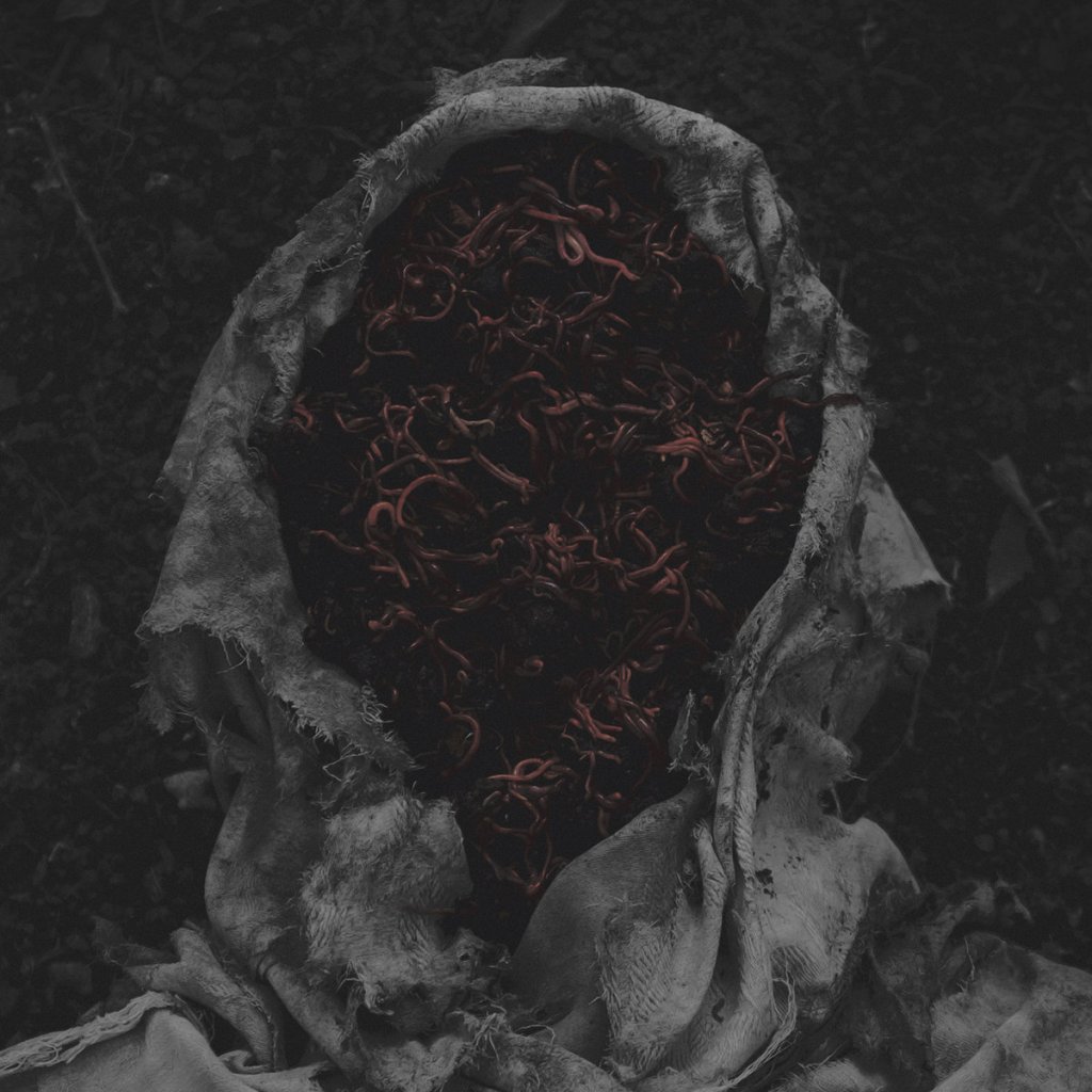 There’s an Agitating Tension for Something so Constant, as Little Stillness in Gorrch’s Stillamentum Is Mostly Momentum.