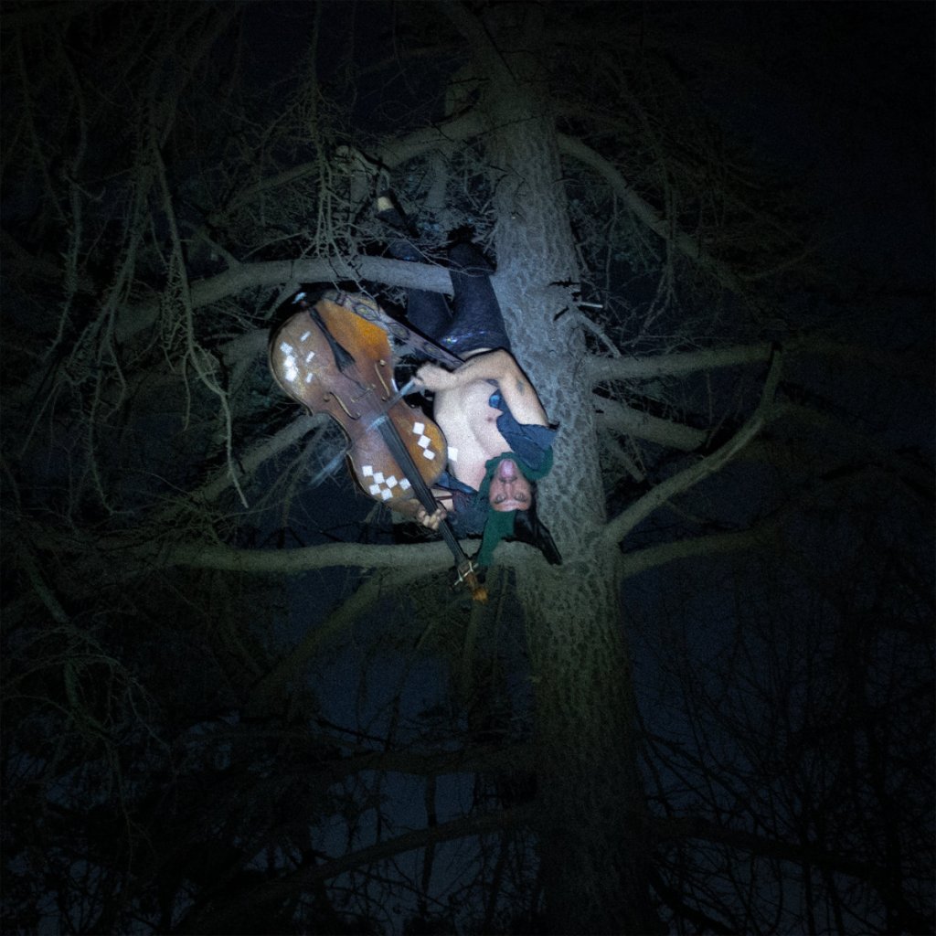A high-contrast, direct-flash photograph taken at night centers on a shirtless man wedged upside down high in the branches of a pine tree.